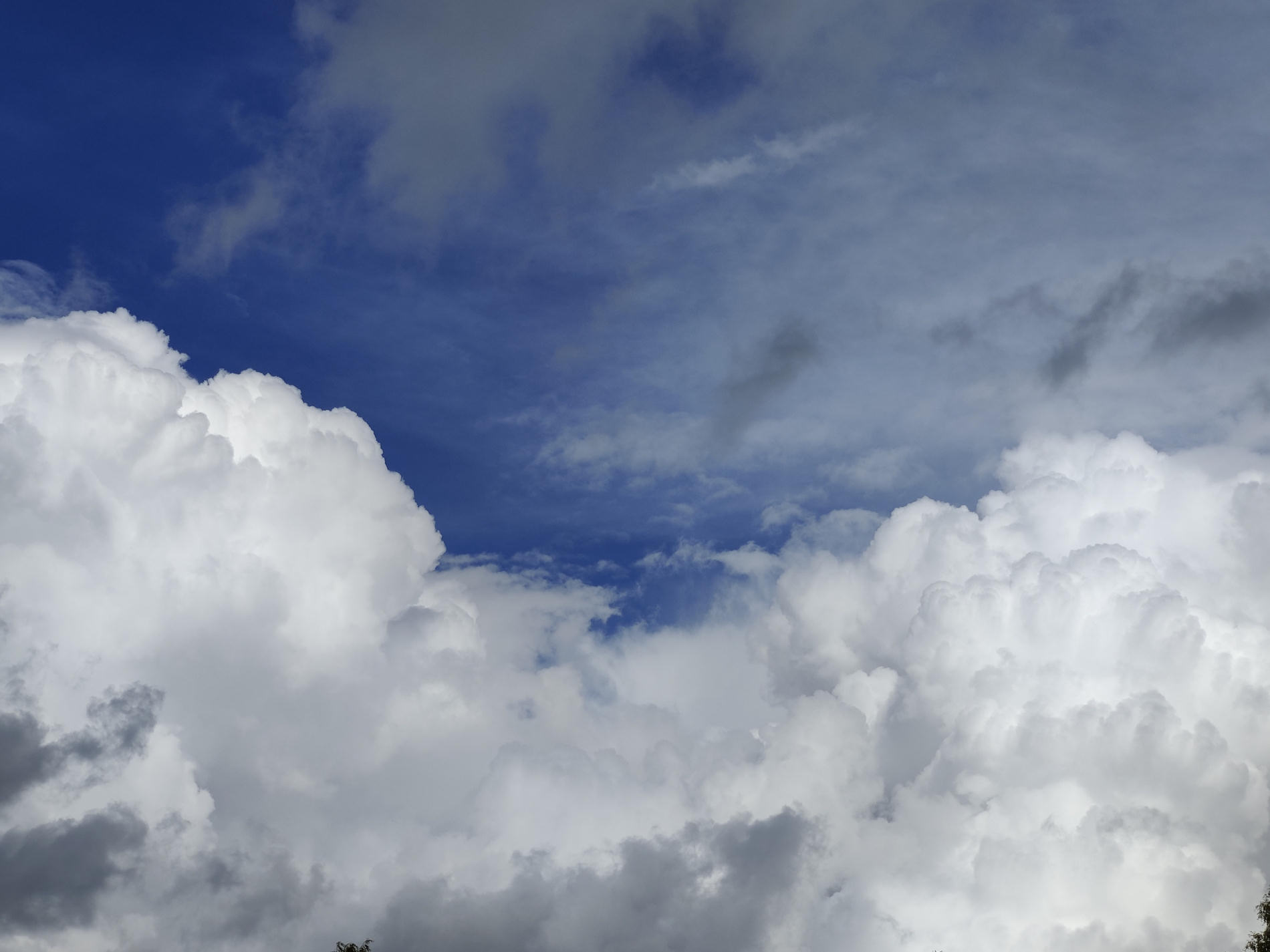 Day 63 – Pilvilinnoja, poutaa, pärskettä ja pörriäistä